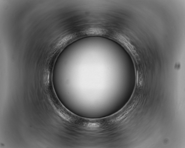 X0000100980157200806241552