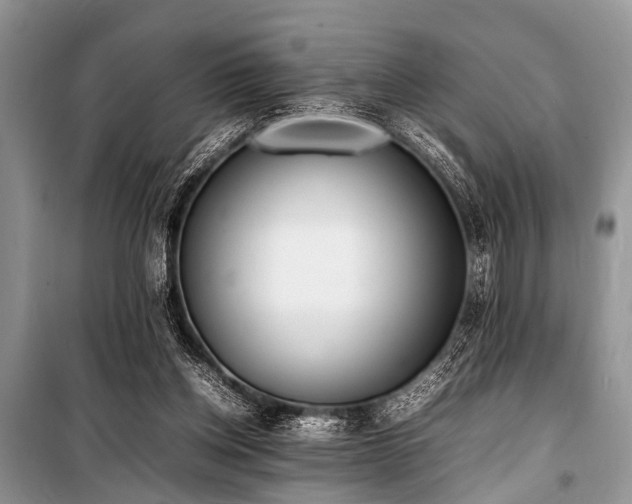 X0000100980158200806241552