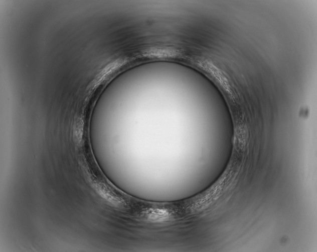 X0000100980159200806241552