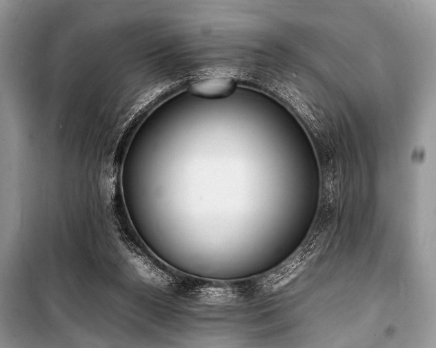 X0000100980160200806241552