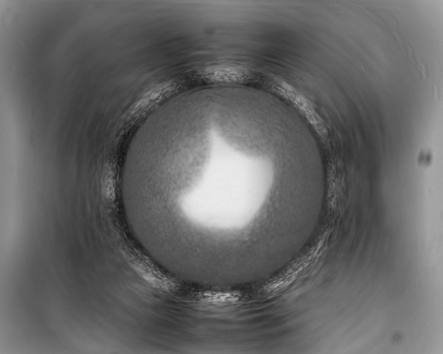 X0000100980161200806241552