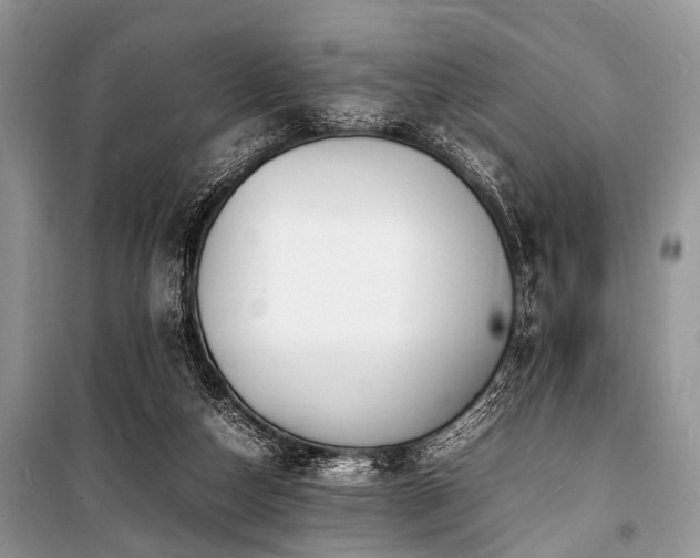 X0000100980162200806241552