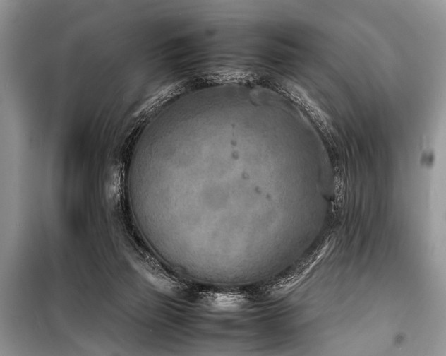 X0000100980165200806241552