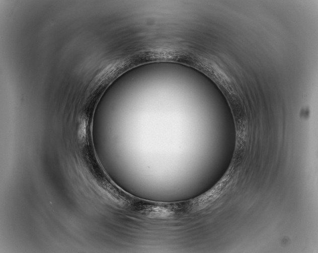 X0000100980166200806241552