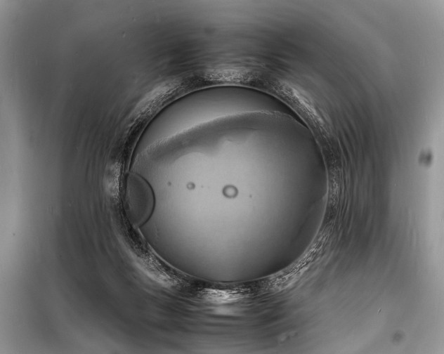 X0000100980167200806241552