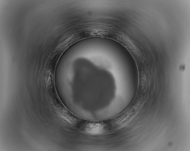 X0000100980169200806241552