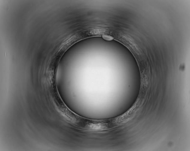 X0000100980171200806241552