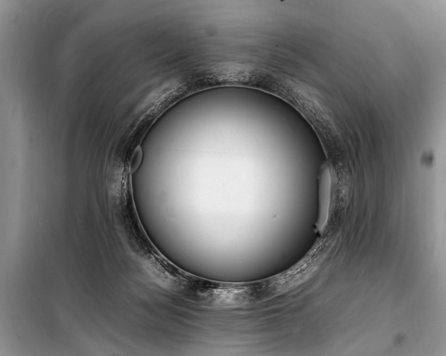 X0000100980172200806241552