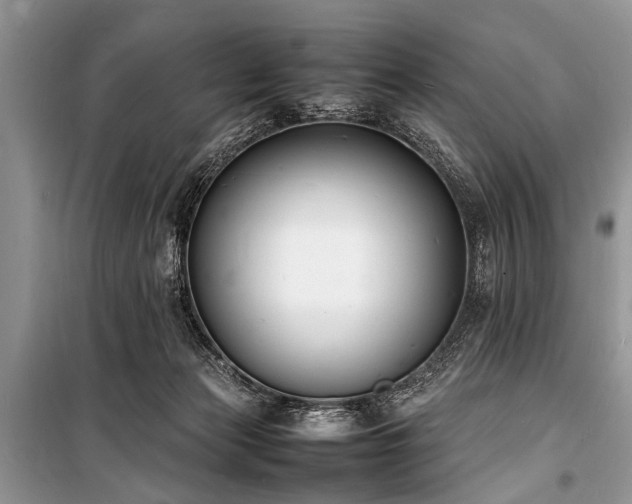 X0000100980173200806241552