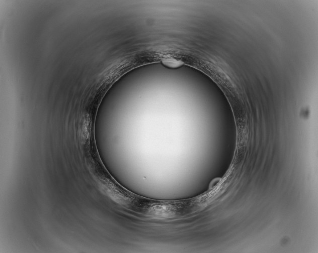 X0000100980174200806241552