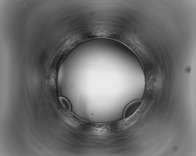 X0000100980175200806241552