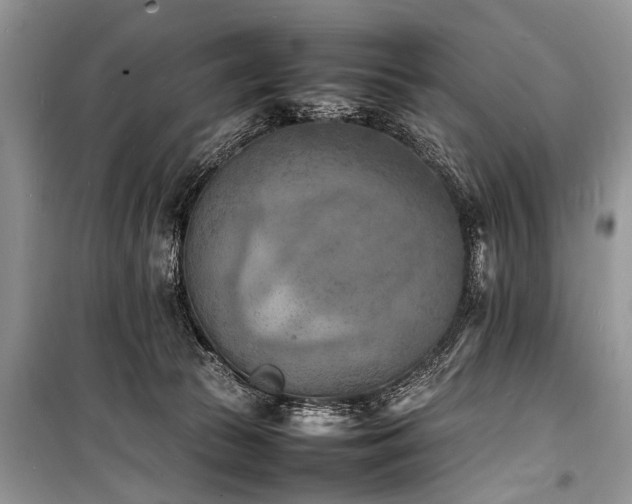 X0000100980177200806241552