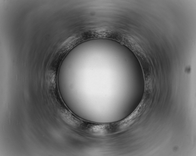 X0000100980178200806241552