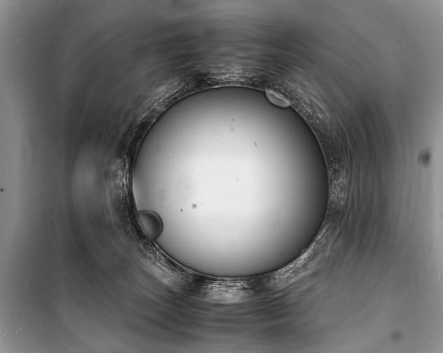 X0000100980179200806241552