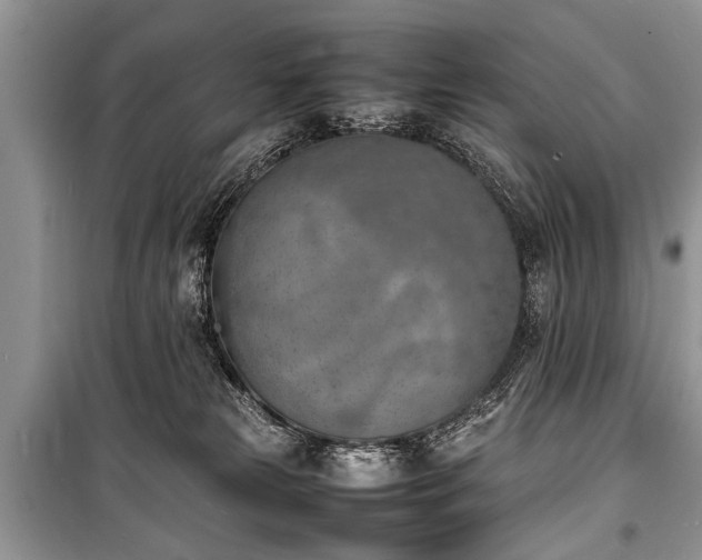 X0000100980181200806241552