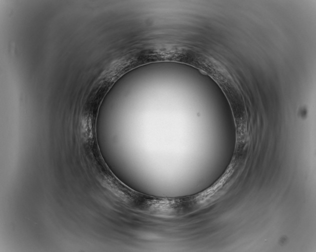 X0000100980182200806241552