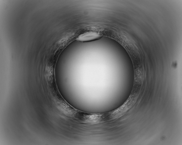 X0000100980184200806241552