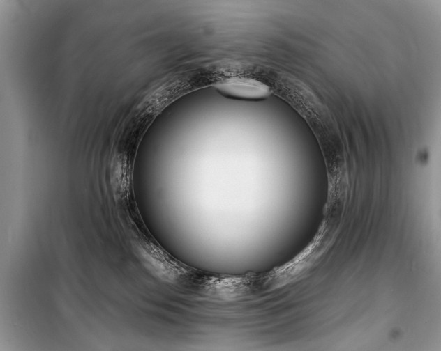 X0000100980186200806241552