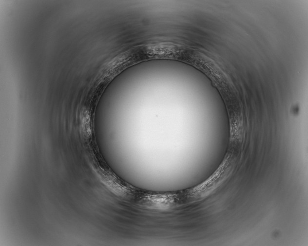 X0000100980187200806241552