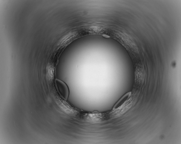 X0000100980188200806241552