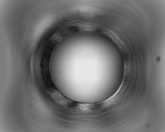 X0000100980190200806241552