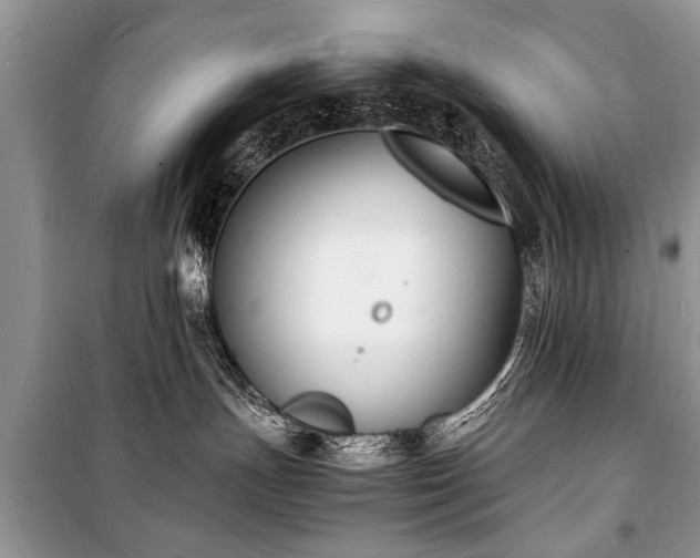 X0000100980191200806241552