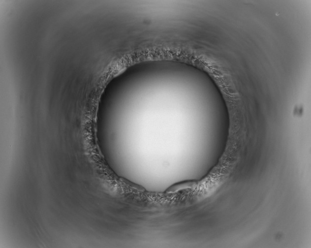 X0000100980192200806241552