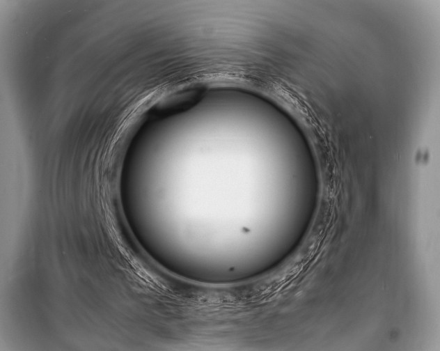 X0000100980193200806241552