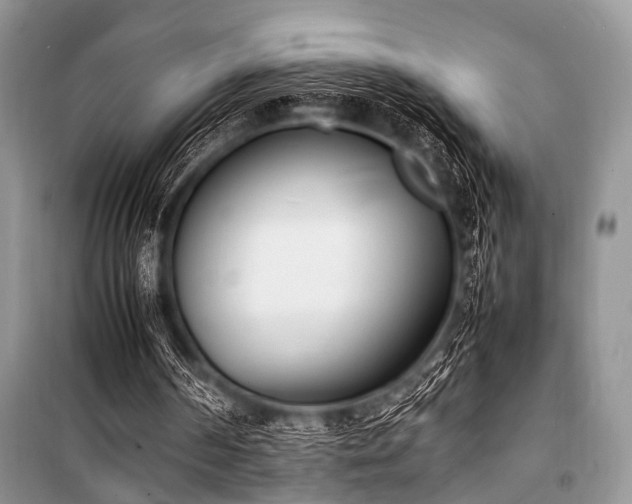 X0000100980194200806241552