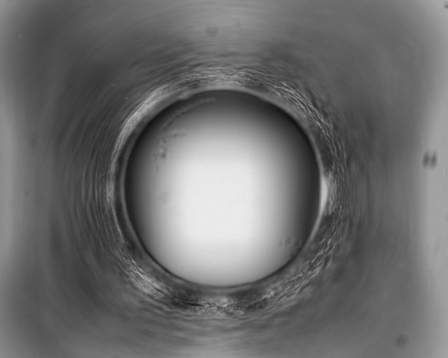 X0000100980195200806241552