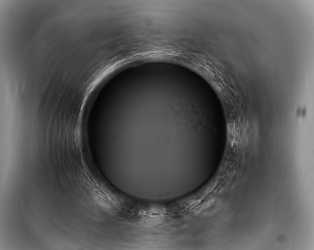 X0000100980196200806241552