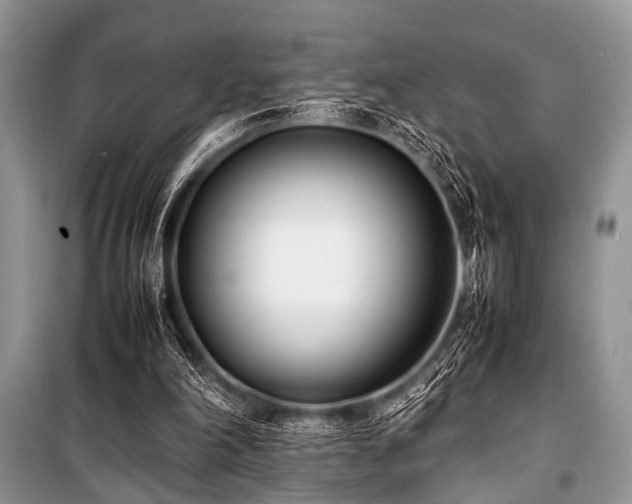 X0000100980198200806241552