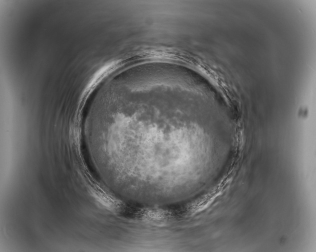 X0000100980199200806241551