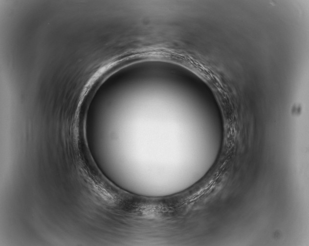 X0000100980200200806241551