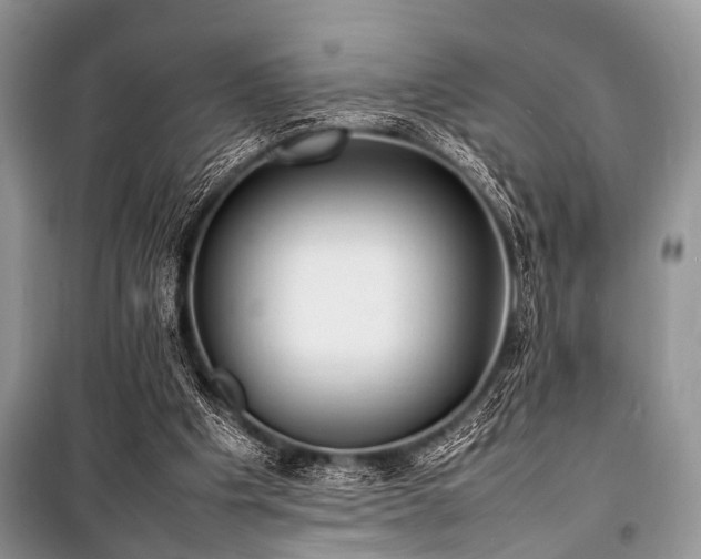 X0000100980201200806241551