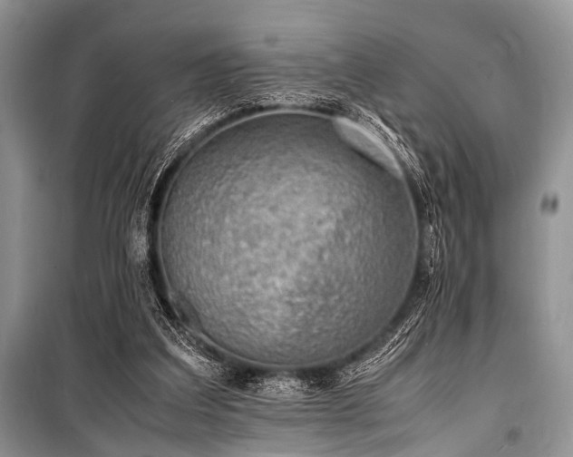 X0000100980203200806241551