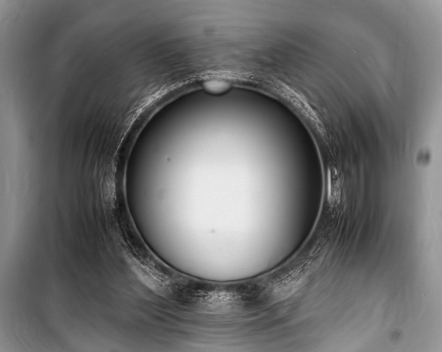 X0000100980204200806241551