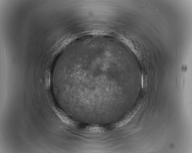 X0000100980205200806241551