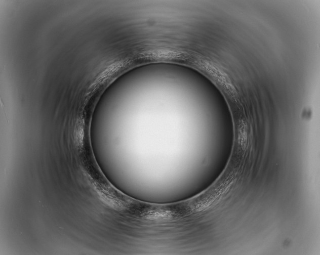 X0000100980206200806241551