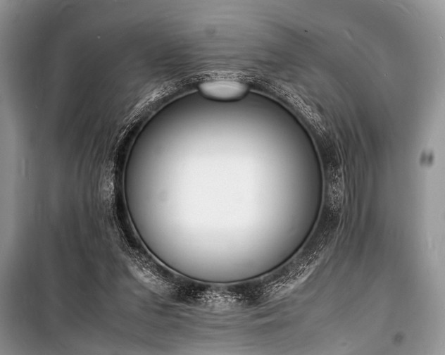 X0000100980207200806241551