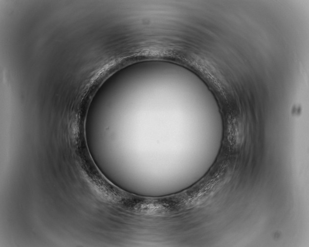 X0000100980208200806241551