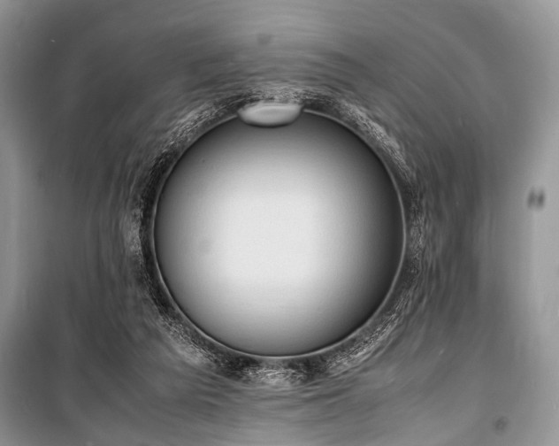 X0000100980209200806241551