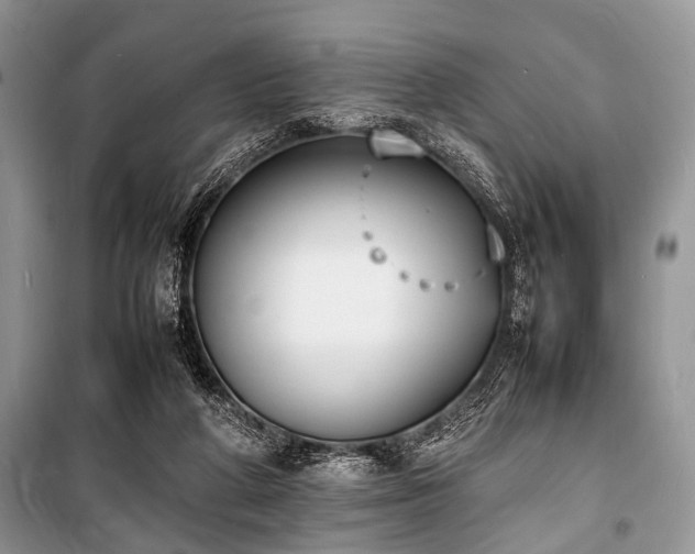 X0000100980210200806241551