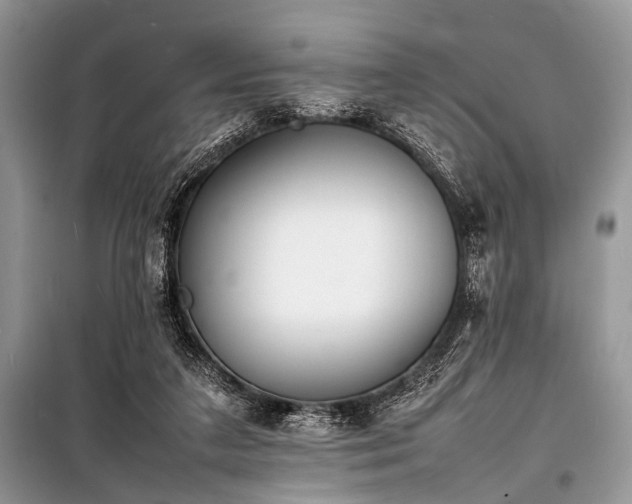 X0000100980211200806241551