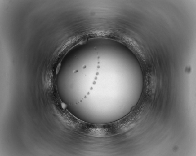 X0000100980212200806241551