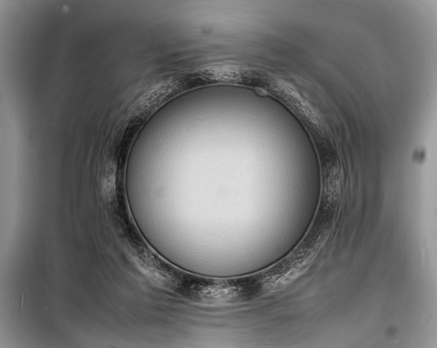 X0000100980213200806241551