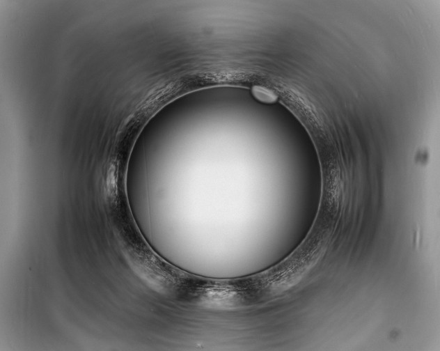 X0000100980214200806241551