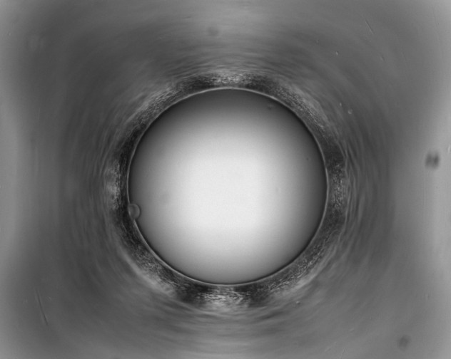 X0000100980215200806241551