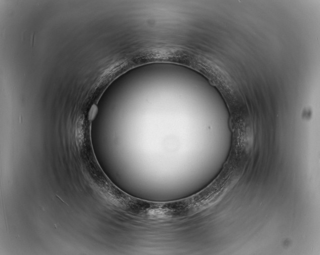 X0000100980216200806241551