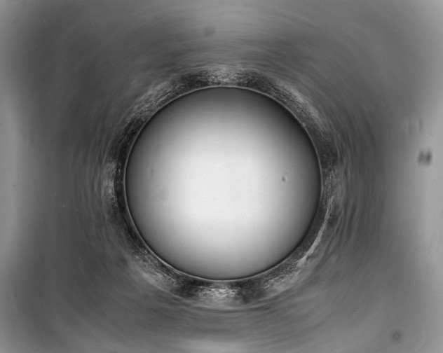 X0000100980217200806241551